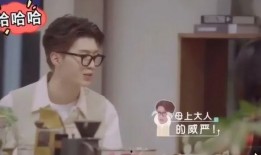 桂哥姐妹爆料视频在线观看,揭秘幕后真相，带你走进事件核心