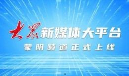 山东蒙阴媒体爆料新闻最新,媒体曝光惊人真相，详情即将揭晓