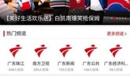 鼎湖新闻爆料热线,聚焦民生，倾听民意，共筑和谐社区
