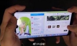 坚果加工爆料方法视频,跟随视频学习独家爆料技巧