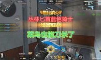 觉醒大熊爆料视频下载,下载背后的秘密与启示
