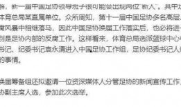 足协官员爆料新闻稿范文,新闻稿背后的真相与内幕