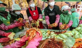 老挝酸菜爆料事件视频完整版,真相与争议交织
