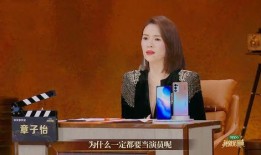 阜阳丁娟爆料事件视频播放,真相与舆论的碰撞