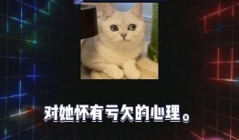 娱乐八卦爆料吃瓜游戏,明星幕后那些事儿，吃瓜群众速来围观！
