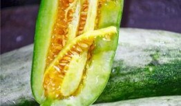 自贡网红吃瓜,揭秘网络红人的幕后故事