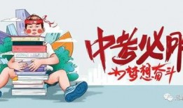 国际服典藏爆料最新消息,最新情报揭秘，神秘新内容即将揭晓！