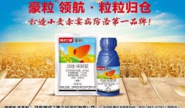 麦蔻爆料打药视频,视频揭秘养殖行业黑幕