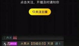 爆料独龙玉直播间视频大全,视频大全背后的神秘魅力