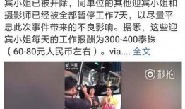 臭猪网红日本爆料视频,臭猪事件背后的惊人真相