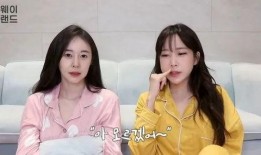 韩媒爆料爱豆女友视频,引发网友热议