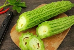 吃瓜论文免费,免费获取的学术盛宴