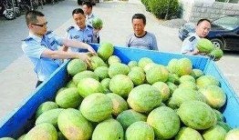 平邑网红吃瓜群微信,揭秘网络红人的幕后故事