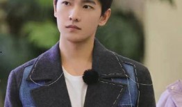 爆料热巴杨洋最新综艺