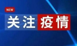 南沙本地爆料事件最新,揭秘最新爆料背后的真相