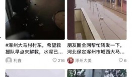 涿州洪水最新爆料新闻直播,最新爆料，救援进展及受灾情况一览