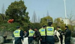 杭州网约车爆料案例最新,揭秘行业乱象背后的真相与反思