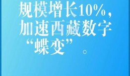 爆料视频暖心句子大全,揭秘爆料视频中的暖心句子精选