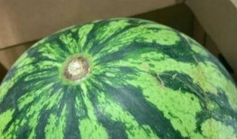 吃瓜爆料真假辨别视频,真假难辨，视频真相大揭秘