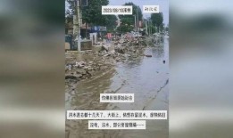 涿州洪水最新爆料新闻直播,最新爆料，救援进展及受灾情况一览