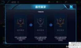 二舅王者爆料视频下载,下载背后的精彩瞬间