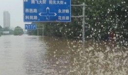 涿州洪水最新爆料新闻直播,最新爆料，救援进展及受灾情况一览