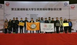 屯子最新爆料新闻,揭秘惊人内幕，事件真相令人震惊