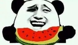 吃瓜群众是大佬小说免费阅读下载,一部逆袭传奇的免费阅读之旅