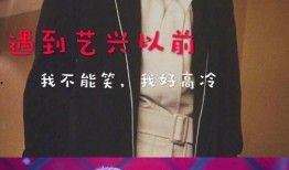 娱乐圈真实爆料张艺兴是谁,娱乐圈真实爆料，张艺兴身份大揭秘！