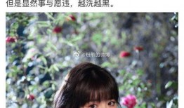 娱乐圈带你吃瓜的是谁