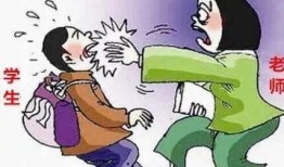 石家庄教校爆料事件视频,真相与争议交织