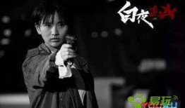 白夜追凶网剧在线观看,网剧悬疑巅峰，揭秘黑白两道生死较量！