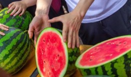 各校吃瓜网站免费入口,校园热点一网打尽！