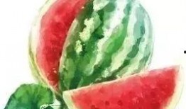 买花吃瓜视频素材下载免费,免费下载买花吃瓜视频素材，感受生活美好瞬间