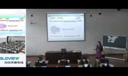 向阳小学爆料视频大全集,揭秘校园生活点滴