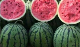 吃瓜爆料真假辨别视频,真假难辨，视频真相大揭秘