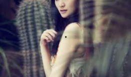 李小冉爆料明星视频大全,独家视频大揭秘