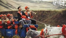 驴得水 电影在线观看