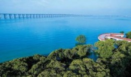 今日西湾公园爆料新闻最新,最新爆料揭示惊人真相