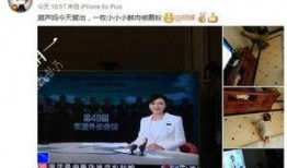 陆川县新闻爆料电话号码,[电话号码]，倾听民声，共建和谐