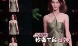 王琳团队爆料视频播放,揭秘幕后真相