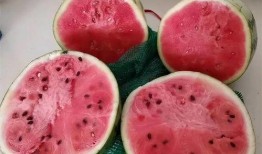 吃瓜爆料真假辨别视频,真假难辨，视频真相大揭秘