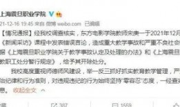 石家庄教校爆料事件视频,真相与争议交织