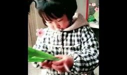 桃花孩子爆料视频,背后惊人真相曝光