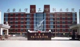 石家庄教校爆料事件视频,真相与争议交织