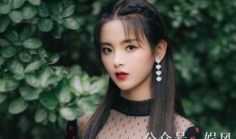 圈内真实八卦爆料杨超越,揭秘娱乐圈背后的真实八卦与争议