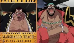 黑胡子动作爆料视频,揭秘神秘海贼王的全新动态