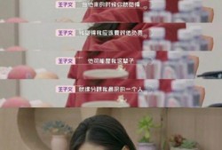 王琳团队爆料视频播放,揭秘幕后真相