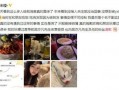 近期网红吃瓜聊天记录,揭秘近期热门吃瓜聊天记录背后的故事